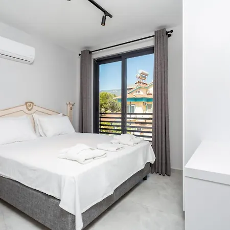 Exclusive Paradise 2