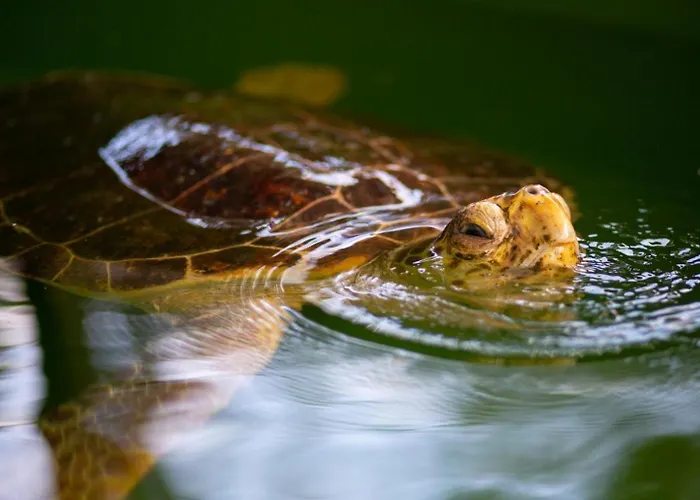 Villa Exclusive Paradise 2 *