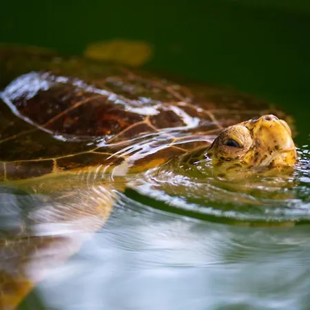 Villa Exclusive Paradise 2 *