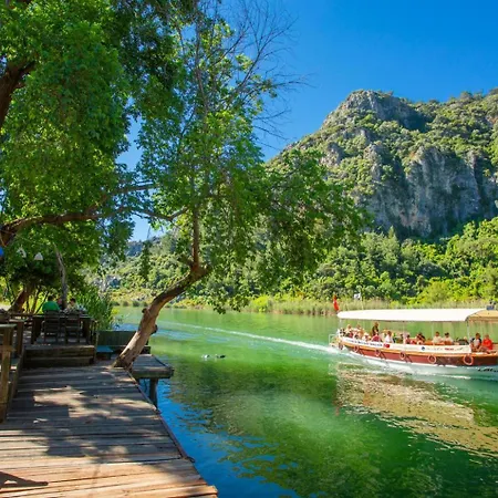 Exclusive Paradise 2 داليان