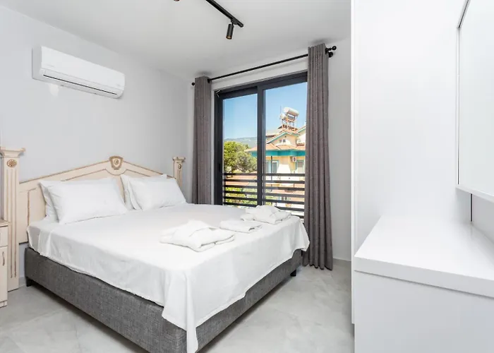 Exclusive Paradise 2